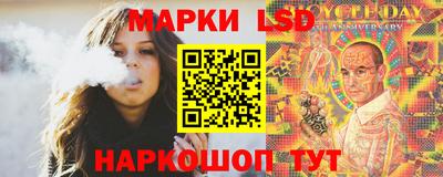 стафф Гай