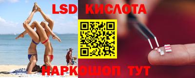 стафф Гай