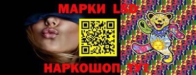 стафф Гай