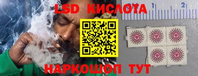 стафф Гай