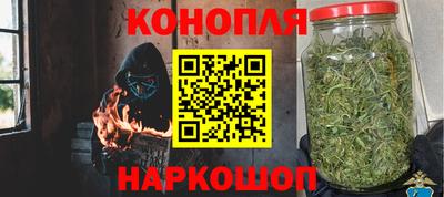 стафф Гай