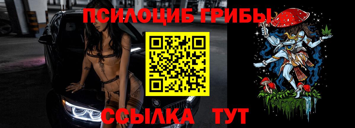 Псилоцибиновые грибы MAGIC MUSHROOMS Димитровград