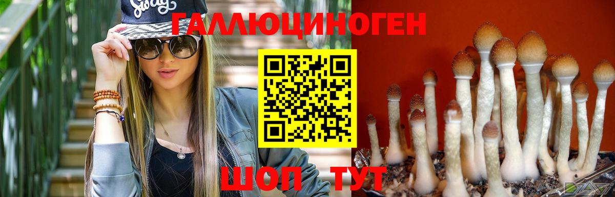 Псилоцибиновые грибы MAGIC MUSHROOMS  Вход с VPN  Галлюциногенные грибы ЛСД  Димитровград 