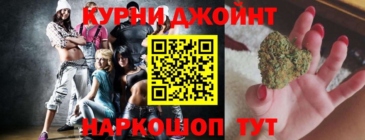 Марихуана сатива Димитровград
